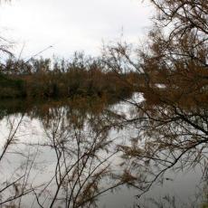 2013gen13_s_giuliano (13)