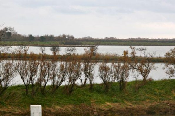 2013gen13_s_giuliano (9)