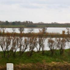 2013gen13_s_giuliano (9)