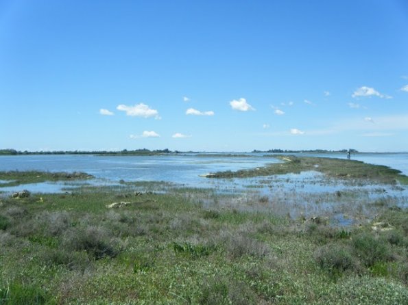 2013mag12_13_girovagando (10)