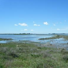 2013mag12_13_girovagando (10)