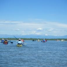 2013mag12_13_girovagando (13)