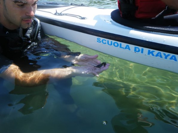 2013giu29_30_base (16)