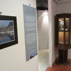 mostra_courmayer (2)