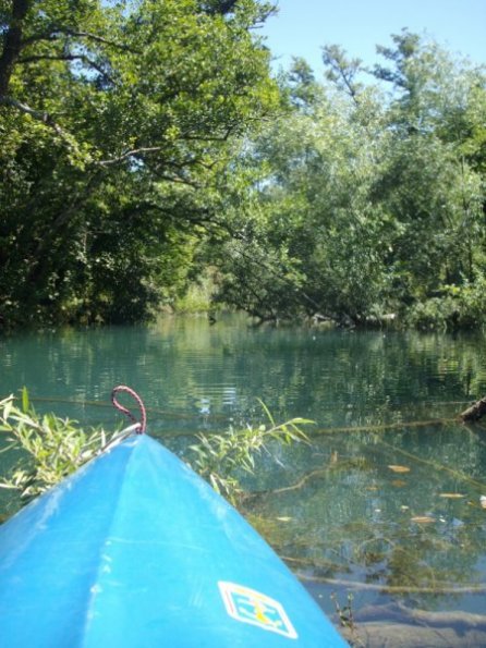 ramo_centrale_timavo