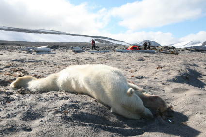 svalbard_expedition (7)